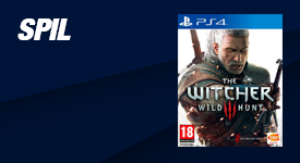 Gaming Spil